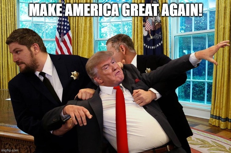 Trump removal | MAKE AMERICA GREAT AGAIN! | image tagged in funny | made w/ Imgflip meme maker