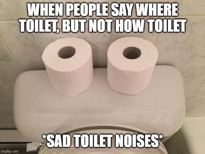 so sad | WHEN PEOPLE SAY WHERE TOILET, BUT NOT HOW TOILET; *SAD TOILET NOISES* | image tagged in memes | made w/ Imgflip meme maker