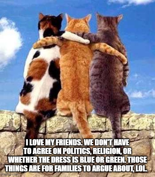 friendship | I LOVE MY FRIENDS. WE DON'T HAVE TO AGREE ON POLITICS, RELIGION, OR WHETHER THE DRESS IS BLUE OR GREEN. THOSE THINGS ARE FOR FAMILIES TO ARGUE ABOUT, LOL. | image tagged in cat friends | made w/ Imgflip meme maker