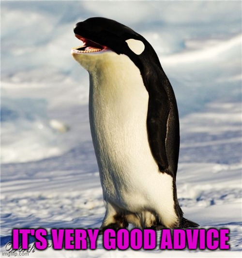 IT'S VERY GOOD ADVICE | made w/ Imgflip meme maker