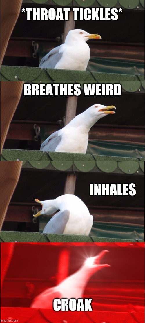 Some meme enjoy | *THROAT TICKLES*; BREATHES WEIRD; INHALES; CROAK | image tagged in memes,inhaling seagull | made w/ Imgflip meme maker