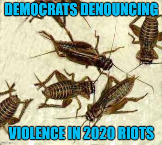 Crickets | DEMOCRATS DENOUNCING VIOLENCE IN 2020 RIOTS | image tagged in crickets | made w/ Imgflip meme maker