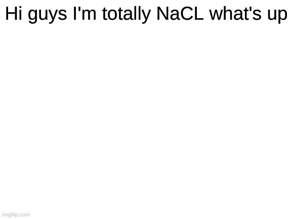 Blank White Template | Hi guys I'm totally NaCL what's up | image tagged in blank white template | made w/ Imgflip meme maker