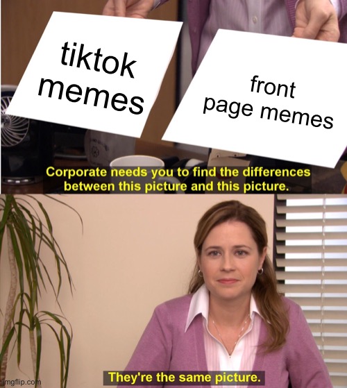 Seriously I’ve seen tiktok stuff on the front page that isn’t even funny. | tiktok memes; front page memes | image tagged in memes,they're the same picture,tiktok,funny,upvote if you agree,front page | made w/ Imgflip meme maker