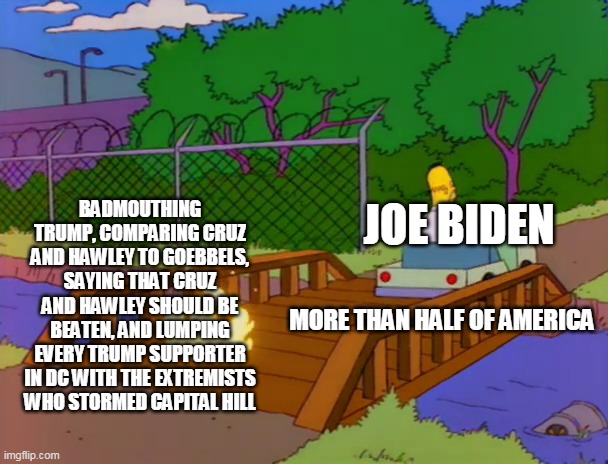 Homer Burning Bridge | BADMOUTHING TRUMP, COMPARING CRUZ AND HAWLEY TO GOEBBELS, SAYING THAT CRUZ AND HAWLEY SHOULD BE BEATEN, AND LUMPING EVERY TRUMP SUPPORTER IN DC WITH THE EXTREMISTS WHO STORMED CAPITAL HILL; JOE BIDEN; MORE THAN HALF OF AMERICA | image tagged in homer burning bridge | made w/ Imgflip meme maker