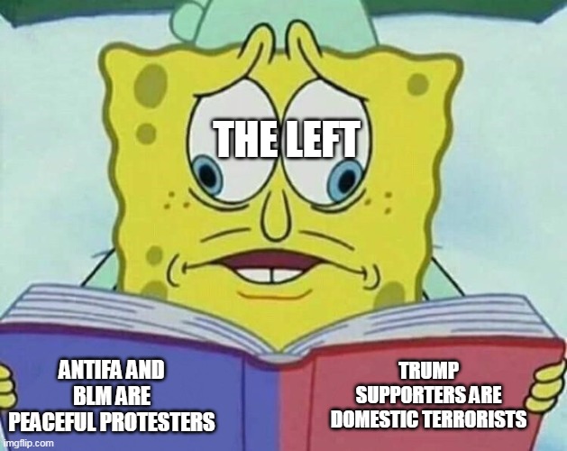cross eyed spongebob | THE LEFT; ANTIFA AND BLM ARE PEACEFUL PROTESTERS; TRUMP SUPPORTERS ARE DOMESTIC TERRORISTS | image tagged in cross eyed spongebob | made w/ Imgflip meme maker