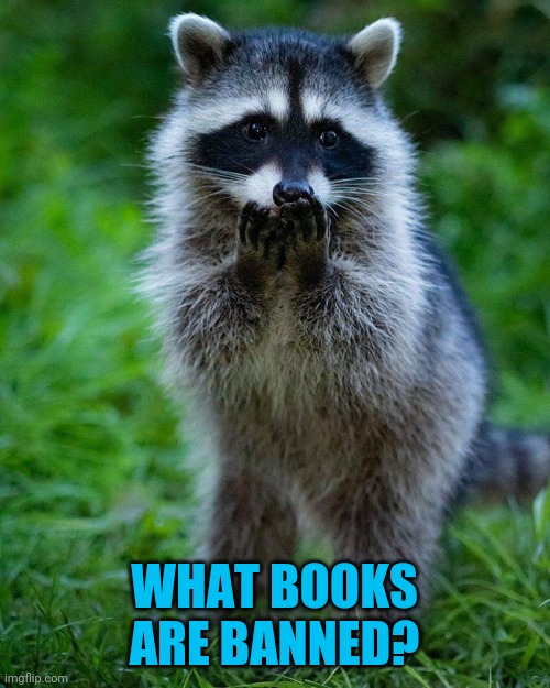 Shocked | WHAT BOOKS ARE BANNED? | image tagged in shocked | made w/ Imgflip meme maker