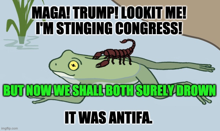 Scorpion Insurrection | MAGA! TRUMP! LOOKIT ME!
I'M STINGING CONGRESS! BUT NOW WE SHALL BOTH SURELY DROWN; IT WAS ANTIFA. | image tagged in frog and scorpion | made w/ Imgflip meme maker