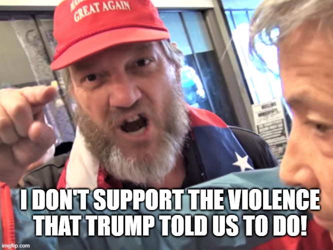 Angry Trump Supporter | I DON'T SUPPORT THE VIOLENCE THAT TRUMP TOLD US TO DO! | image tagged in angry trump supporter | made w/ Imgflip meme maker