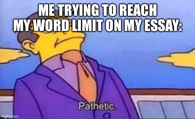 skinner pathetic | ME TRYING TO REACH MY WORD LIMIT ON MY ESSAY: | image tagged in skinner pathetic | made w/ Imgflip meme maker