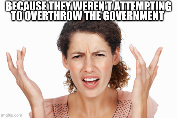 Indignant | BECAUSE THEY WEREN'T ATTEMPTING TO OVERTHROW THE GOVERNMENT | image tagged in indignant | made w/ Imgflip meme maker