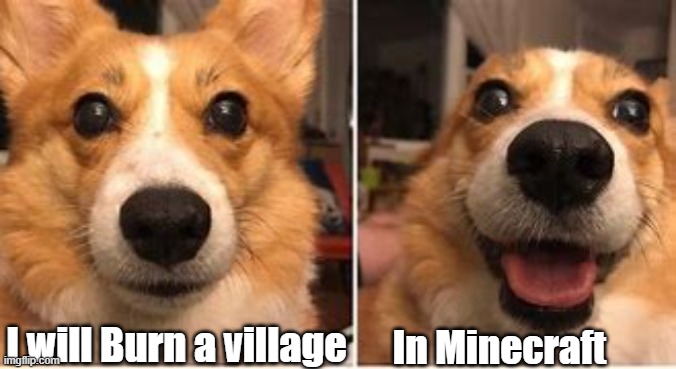 Corgi Beats Corgi | I will Burn a village; In Minecraft | image tagged in corgi beats corgi | made w/ Imgflip meme maker