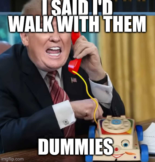 I'm the president | I SAID I'D WALK WITH THEM; DUMMIES | image tagged in i'm the president | made w/ Imgflip meme maker