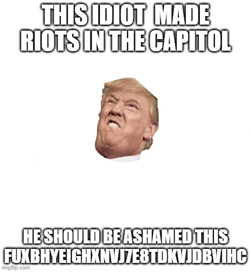 riot bro | THIS IDIOT  MADE RIOTS IN THE CAPITOL; HE SHOULD BE ASHAMED THIS FUXBHYEIGHXNVJ7E8TDKVJDBVIHC | image tagged in just white | made w/ Imgflip meme maker