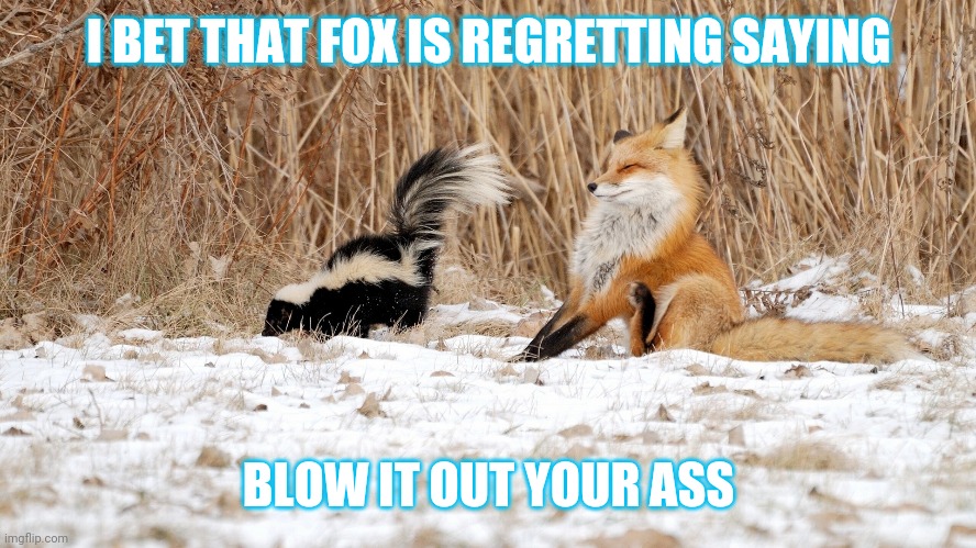 What's that they say about eating your words? | I BET THAT FOX IS REGRETTING SAYING; BLOW IT OUT YOUR ASS | image tagged in animals,skunk,fox,sayings,bad smell | made w/ Imgflip meme maker