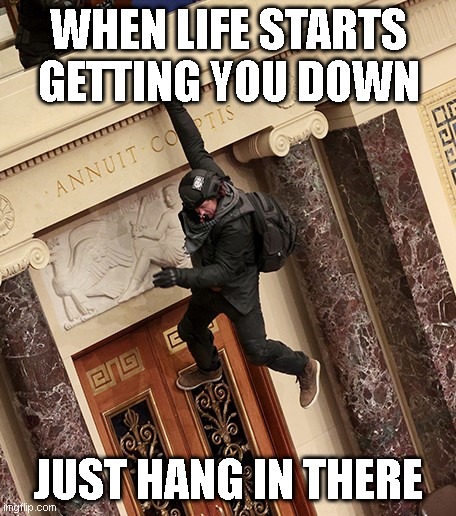 Chamber Climber | WHEN LIFE STARTS GETTING YOU DOWN; JUST HANG IN THERE | image tagged in capitol hill,trump rioter,protester,annuit,motivational,political humor | made w/ Imgflip meme maker