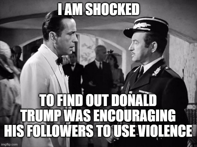 I AM SHOCKED; TO FIND OUT DONALD TRUMP WAS ENCOURAGING HIS FOLLOWERS TO USE VIOLENCE | image tagged in trump | made w/ Imgflip meme maker