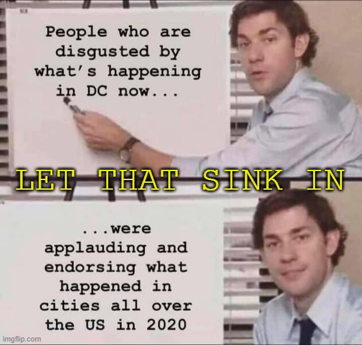 LET THAT SINK IN | LET THAT SINK IN | image tagged in liberal hypocrisy | made w/ Imgflip meme maker