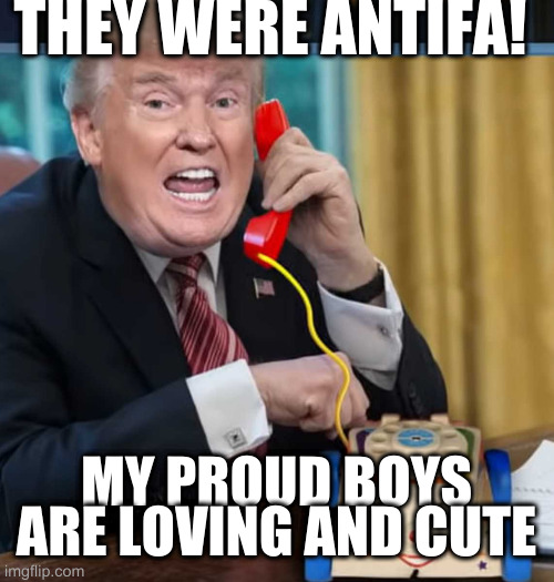 I'm the president | THEY WERE ANTIFA! MY PROUD BOYS ARE LOVING AND CUTE | image tagged in i'm the president | made w/ Imgflip meme maker