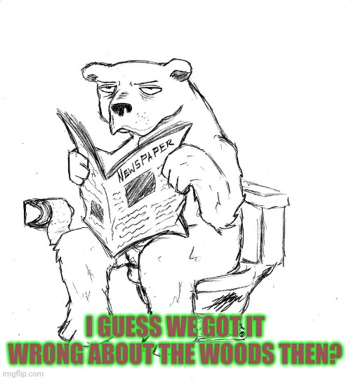 Well there's an idea that goes down the crapper | I GUESS WE GOT IT WRONG ABOUT THE WOODS THEN? | image tagged in nature,bears,woods,bathroom | made w/ Imgflip meme maker