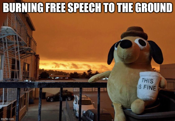 this is fine | BURNING FREE SPEECH TO THE GROUND | image tagged in this is fine | made w/ Imgflip meme maker