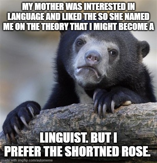 im playing Rose: The A.I Chatbox on Roblox and i made her answers into memes. question: Rose why is your name red | MY MOTHER WAS INTERESTED IN LANGUAGE AND LIKED THE SO SHE NAMED ME ON THE THEORY THAT I MIGHT BECOME A; LINGUIST. BUT I PREFER THE SHORTNED ROSE. | image tagged in memes,confession bear | made w/ Imgflip meme maker