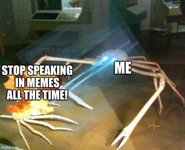 ME; STOP SPEAKING IN MEMES ALL THE TIME! | image tagged in silence crab | made w/ Imgflip meme maker