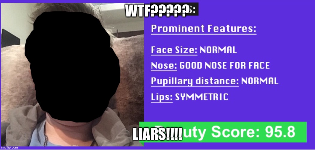 Whaaaa...?! | WTF????? LIARS!!!! | image tagged in bruh | made w/ Imgflip meme maker