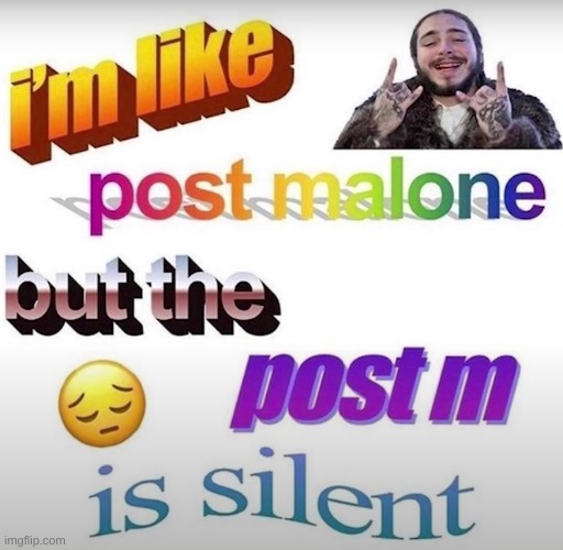 post malone | image tagged in fun | made w/ Imgflip meme maker