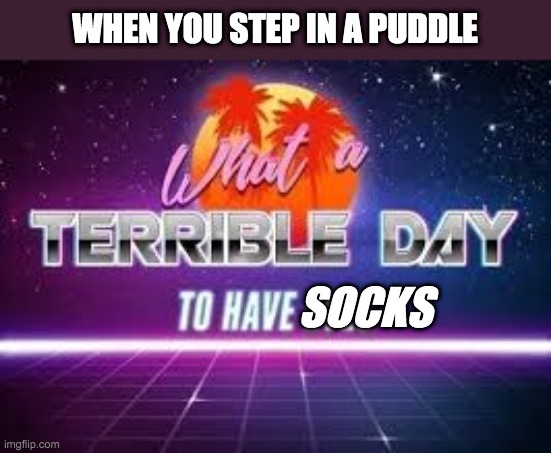 what a terrible day to have eyes | WHEN YOU STEP IN A PUDDLE; SOCKS | image tagged in what a terrible day to have eyes | made w/ Imgflip meme maker