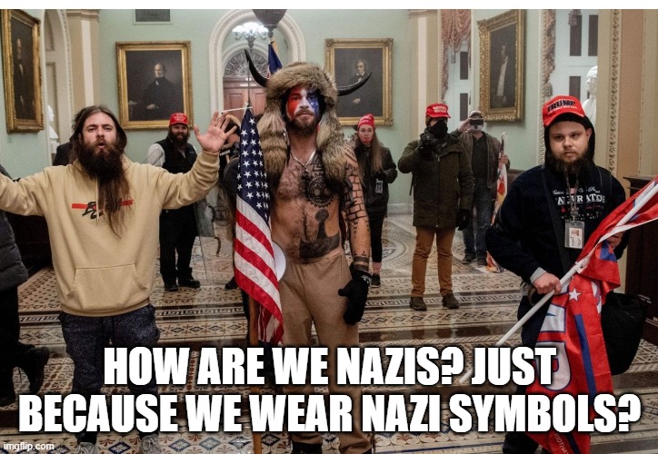 Libertarians | HOW ARE WE NAZIS? JUST BECAUSE WE WEAR NAZI SYMBOLS? | image tagged in donald trump | made w/ Imgflip meme maker