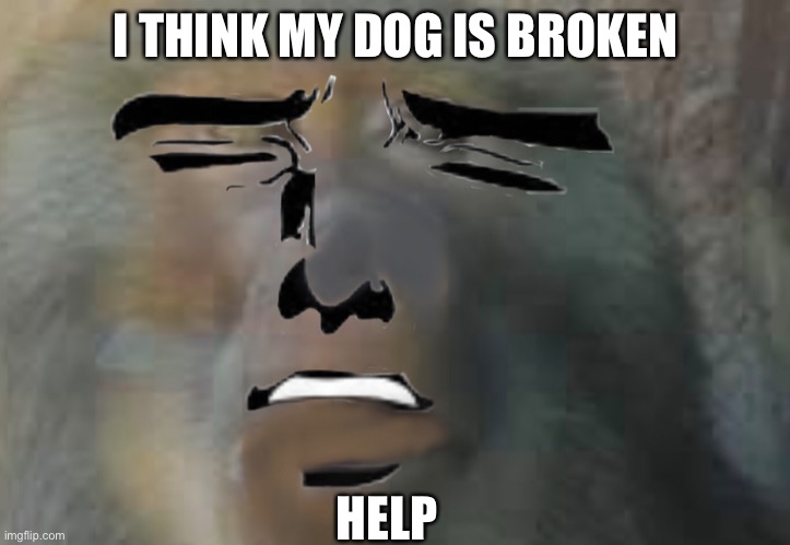My dog is broken |  I THINK MY DOG IS BROKEN; HELP | image tagged in memes,doge,monkey,help me | made w/ Imgflip meme maker