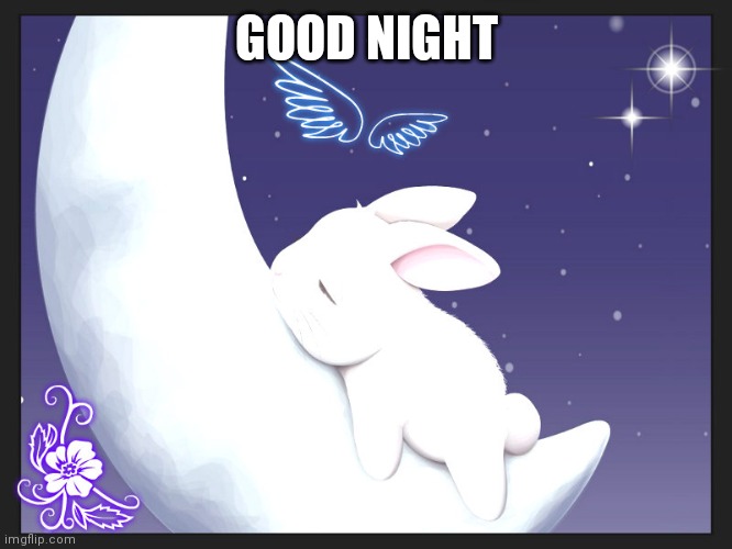 good night bunny | GOOD NIGHT | image tagged in good night bunny | made w/ Imgflip meme maker