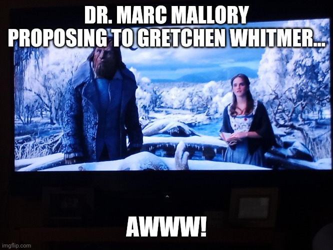 Dr. Marc Mallory proposing to Gretchen Whitmer | DR. MARC MALLORY PROPOSING TO GRETCHEN WHITMER... AWWW! | image tagged in michigan,governor,proposal,love,marriage | made w/ Imgflip meme maker