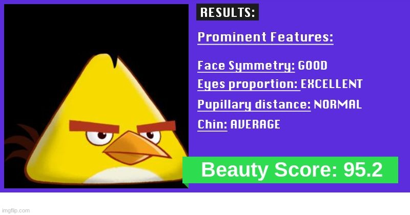 I DIDNT EXPECT THIS FOR CHUCK (aka Yellow Bird) | image tagged in angry birds,chuck,beauty,memes | made w/ Imgflip meme maker