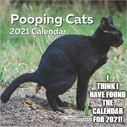 Think This Is The Calendar for 2021! | image tagged in cats | made w/ Imgflip meme maker