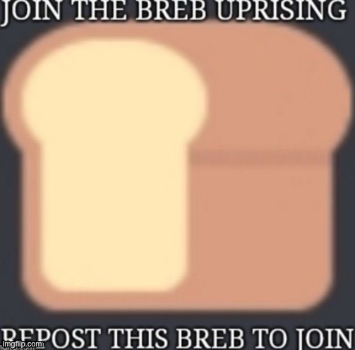 REPOST 2 JOIN BREB UPRISING | image tagged in breb,bread,repost,memes,loaf,join | made w/ Imgflip meme maker