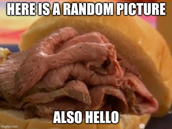 Roast beef | HERE IS A RANDOM PICTURE; ALSO HELLO | image tagged in roast beef | made w/ Imgflip meme maker