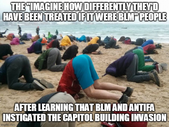 There's a reason they're deleting everyone from twitter and shutting down parler. The truth is damning. | THE "IMAGINE HOW DIFFERENTLY THEY'D HAVE BEEN TREATED IF IT WERE BLM" PEOPLE; AFTER LEARNING THAT BLM AND ANTIFA INSTIGATED THE CAPITOL BUILDING INVASION | image tagged in memes,antifa,blm,capitol hill,election 2020,donald trump | made w/ Imgflip meme maker