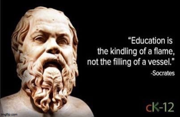 schooling is only for teaching you how to learn, not what to learn. | image tagged in socrates | made w/ Imgflip meme maker