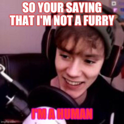 Fundy became a Furry Curry | SO YOUR SAYING THAT I'M NOT A FURRY; I'M A HUMAN | image tagged in fundy,raycat | made w/ Imgflip meme maker