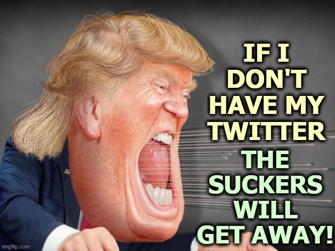 A con man's nightmare. | IF I DON'T HAVE MY TWITTER; THE SUCKERS WILL GET AWAY! | image tagged in trump,con man,twitter,loser,failure | made w/ Imgflip meme maker
