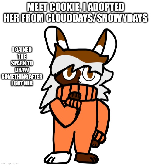 I GAINED THE SPARK TO DRAW SOMETHING AFTER I GOT HER; MEET COOKIE, I ADOPTED HER FROM CLOUDDAYS/SNOWYDAYS | made w/ Imgflip meme maker