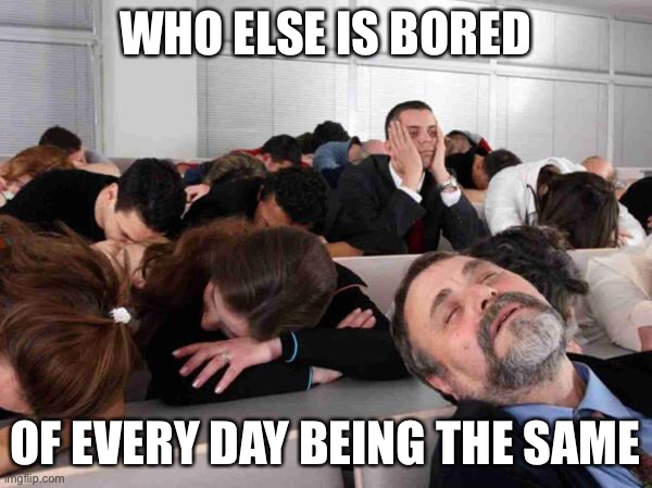 Not even non-busyness... just boredom with everything period. | WHO ELSE IS BORED; OF EVERY DAY BEING THE SAME | image tagged in boring | made w/ Imgflip meme maker