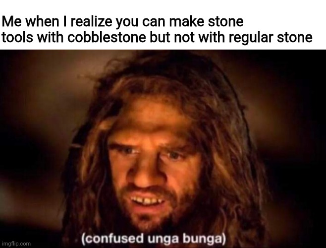 Stone is stone! | Me when I realize you can make stone tools with cobblestone but not with regular stone | image tagged in confused unga bunga | made w/ Imgflip meme maker