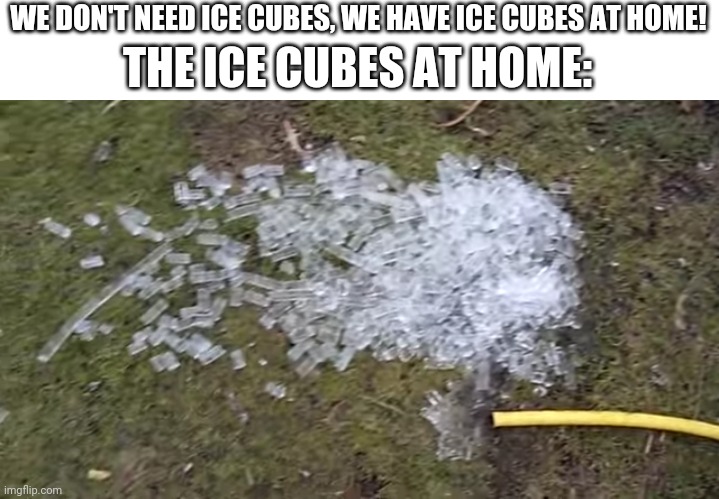 THE ICE CUBES AT HOME:; WE DON'T NEED ICE CUBES, WE HAVE ICE CUBES AT HOME! | image tagged in we dont need,the ice cubes at home,ice cubes | made w/ Imgflip meme maker