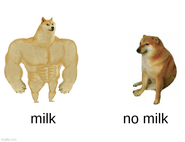 milk=muscle | milk; no milk | image tagged in memes,buff doge vs cheems,milk | made w/ Imgflip meme maker