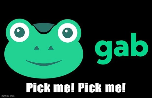 Alt-right social media is so thirsty for a certain Orange permabanned troll | Pick me! Pick me! | image tagged in gab frog | made w/ Imgflip meme maker