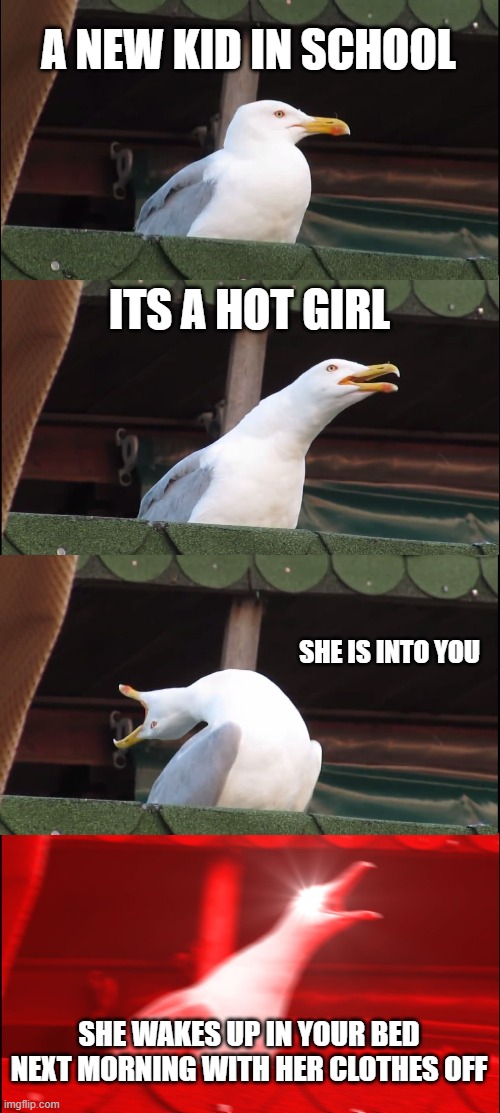 When you find a girl in school | A NEW KID IN SCHOOL; ITS A HOT GIRL; SHE IS INTO YOU; SHE WAKES UP IN YOUR BED NEXT MORNING WITH HER CLOTHES OFF | image tagged in memes,inhaling seagull,school | made w/ Imgflip meme maker