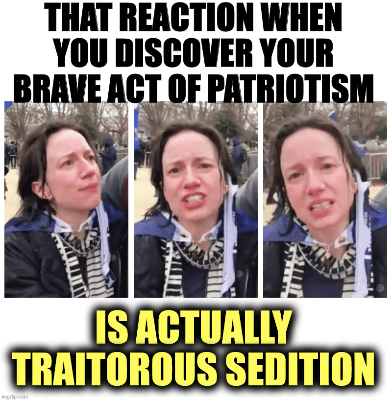 Don't worry, Elizabeth: Trump really loves stupid people | THAT REACTION WHEN YOU DISCOVER YOUR BRAVE ACT OF PATRIOTISM; IS ACTUALLY TRAITOROUS SEDITION | image tagged in elizabeth from knoxville,traitors for trump | made w/ Imgflip meme maker